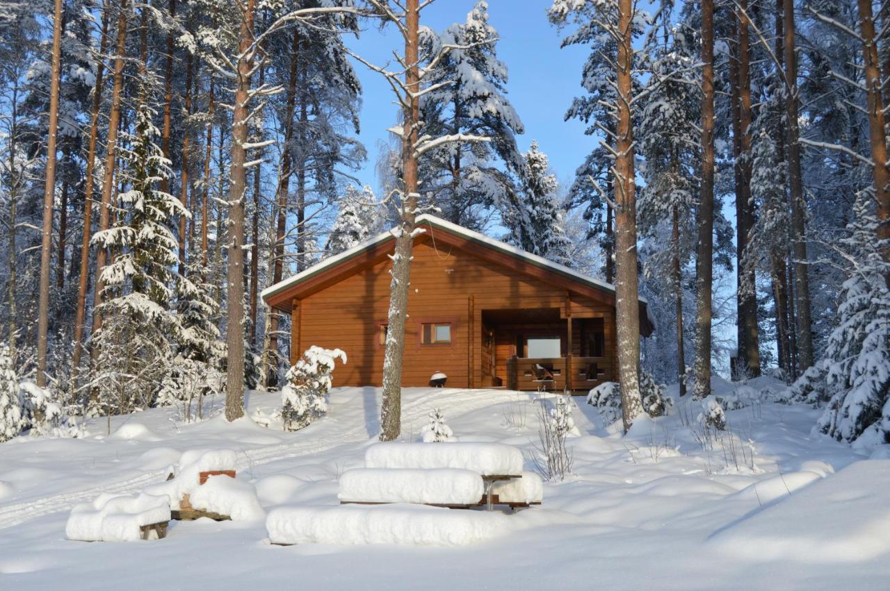 Rinnepelto Holiday Cottages Tahko Buitenkant foto