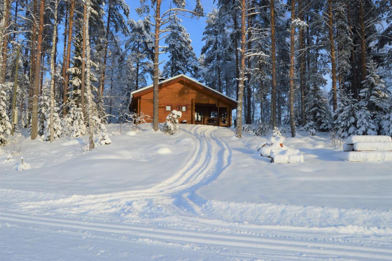 Rinnepelto Holiday Cottages Tahko Buitenkant foto
