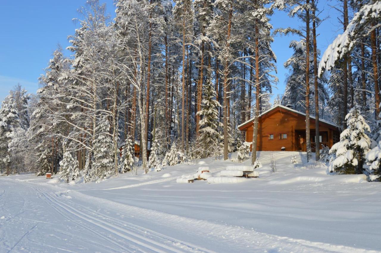 Rinnepelto Holiday Cottages Tahko Buitenkant foto